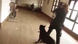 WATCH: Furry cops are awesome! | Support Our Police