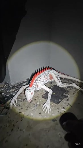 Prompt 1:Use the uploaded character image as an exact reference. Preserve