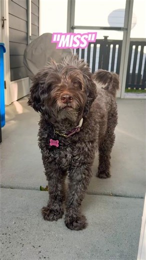 Caught her being the cutest thing alive #shorts