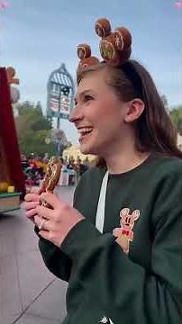 The Fun Disneyland #disney #disneyworld #disneyland #funny #funny...