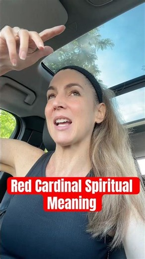 Spiritual meaning of a red cardinal👐🏼 #redcardinal #spiritualmessage