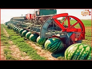 50 Modern Agricultural Machines, Harvesting Vegetables That Work at a Different Level