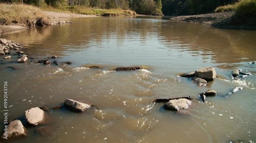 Shallow river flowing over rocks in a forest. Murky water current in a natural woodland environment. Rugged landscape and waterway