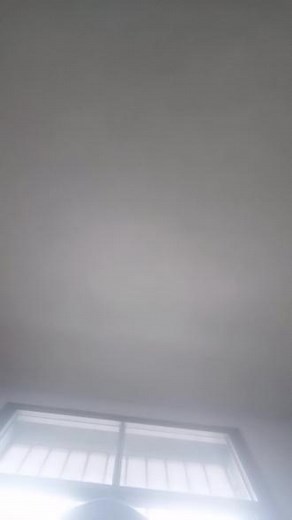 7223297836287413516