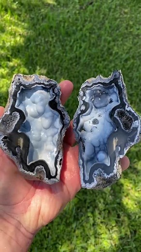 Exploring the Hidden World of 30-Million-Year-Old Fossilized Coral