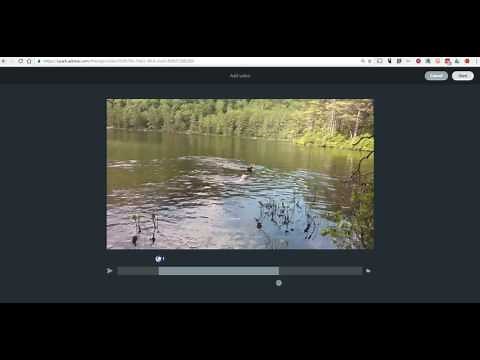 How to Insert Video Clips Into Adobe Spark Projects