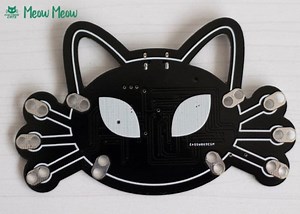 Meow Meow Creates A keyboard From Anything