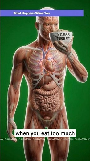 What Actually Happens Inside Your Body If You Eat Too Much Fiber?
