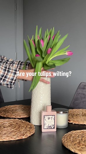Reviving Wilting Tulips: Expert Tips and Tricks