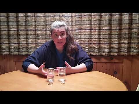 Earth Day Special: Dissolving Seashells