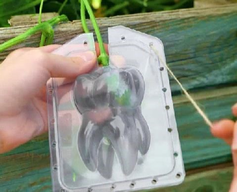 Astuces astucieuses pour cultiver un joli jardin de fenêtre | Brico Enfants