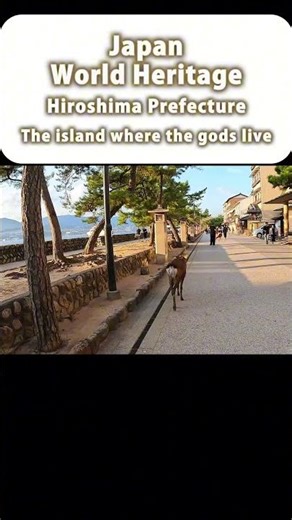 [Japan] Itsukushima Shrine, a World Heritage Site protected by successive feudal lords㉜ #shorts