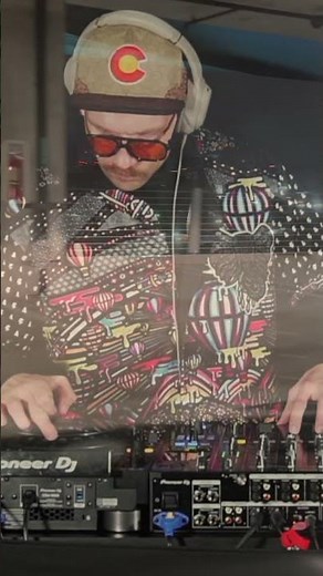 Bird Noise | California Dreamin' - Vintage Culture Remix, Chris Lorenzo, High Jinx | #edmremix #dj