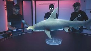 Mixing Augmented Reality with Sharks