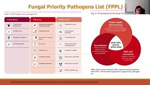 Current and Future Fungal Infection Trends: An Analysis of Fungal Infections in Modern Medicine