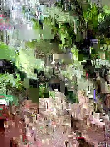 Aire River in the Redwood Forest Otways. Video by Anthony Cook | Victorian Creeks and Rivers; Friends of Deep Creek