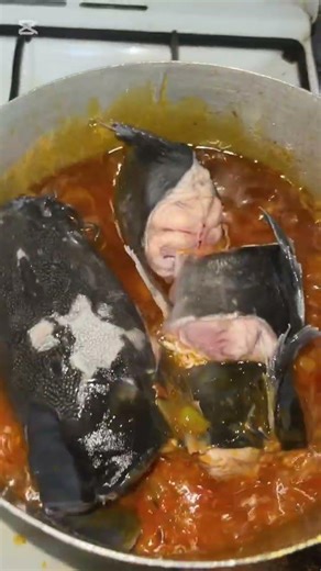 Catfish stew white rice #cooking #food #fyp #viralvideo