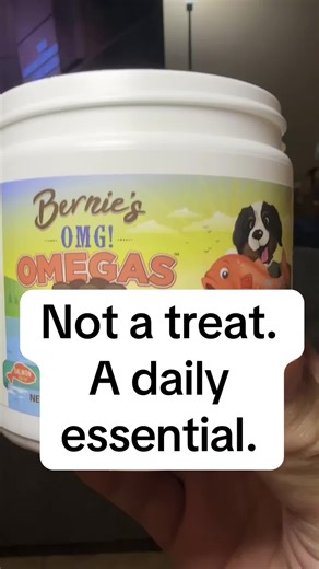 Daily Omega-3 Routine for Better Dog Health