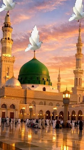 #trending #trendingshorts #viral #shorts #madina #allah #islam i