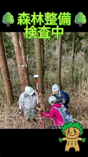 【検査中】 奈良県 林業 森林整備 126