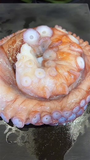 Chef Hiro on Instagram: ". . Giant Octopus Leg Nigiri🐙 酢橘で味わう蛸足寿司の旨さ🐙 . . . . . . . . . Thanks for watching, everyone!! If you want to share my posts, please contact me through DM for each post 📩 . . 🔻#followme @sushi_chef.hiro . . #reels #sushi #octopus #寿司 #タコ"