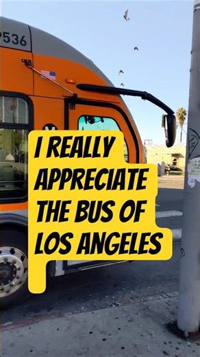 Bus of L.A. #busoflosangeles #usabus #busofusa #americanbus #bus #losangeles #yellowbus #busline