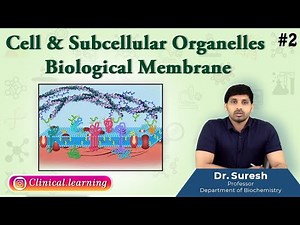2. Biological Membrane Animation | Structure & Functions | Cell & Subcellular Organelles | USMLE