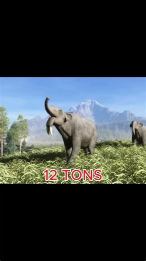 Deinotherium 😳 The Giant Elephant With Downward Tusks #extinctanimals #facts #prehistoriclife