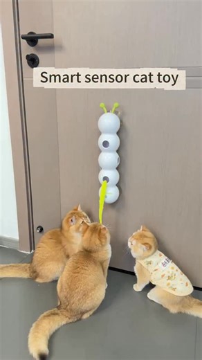 🐛⚡ **Self-play mode: ACTIVATED!** 🤖😻 Let your kitty chase, pounce, and *obsess* over the **allforpaws Smart Caterpillar Toy**! This suction-cup-powered wiggler uses *motion sensors* to dart and dance—keeping cats entertained for hours (even when you’re busy!). 🔋🎉 💬 Comment “CATERPILLAR” to treat your cat to this spring’s *must-have* toy! 🌸 #SmartCatToys #allforpaws #CaterpillarChaos #CatLovers #SelfEntertainment PetTech PlaytimePerfection | NioPets