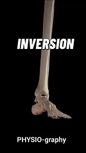 Ankle inversion sprain | PHYSIO-graphy
