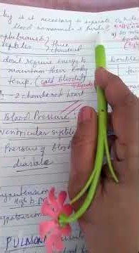 Grade 10, Transport system( cont.)