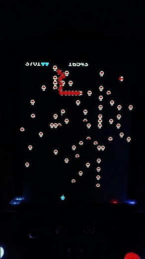 Centipede Mushroom garden!