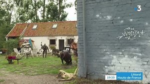 33K views · 172 reactions | Sacha Fasquel termine une matelote commandée par la commune d'Etaples-sur-Mer. À Oye-PLage, l’objectif de l' Association GRANGE'ART est de favoriser la promotion et la valorisation de l’art et de la culture en territoire rural. À voir dans "LITTORAL HAUTS-DE-FRANCE" à 18H50 | France 3 Nord Pas-de-Calais | Facebook