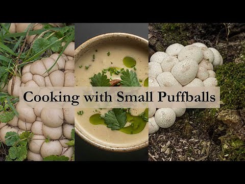 Cooking with Small Puffball Mushrooms