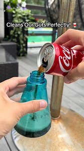Coke is perfectly removing rust! And cleans our guts as well! 😅 #coke #rust #removerust #cleaning | Ollie Hacks