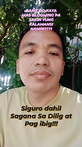 Plant daddy #plants #garden | Trams Rivera