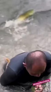 142K views · 2.3K reactions |  Le Poisson Arowana Asiatique : Un...