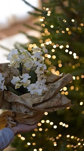 Crocus.co.uk on Reels | Facebook