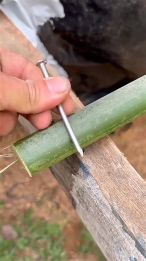 The Right Way to Nail Bamboo Without Splitting It A simple trick that keeps bamboo from cracking and makes the job easy. #WoodworkingUSA #BambooHack #ProFinish | Do It YourSelf