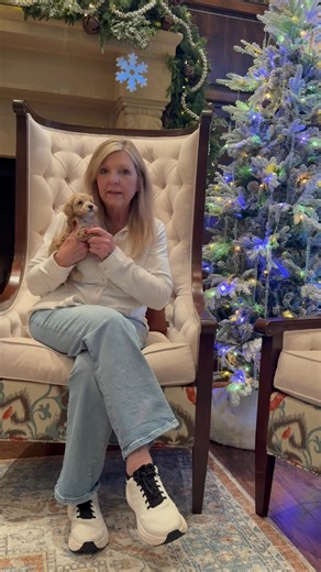 Meet Theo a micro mini! | Goldendoodle Kennels