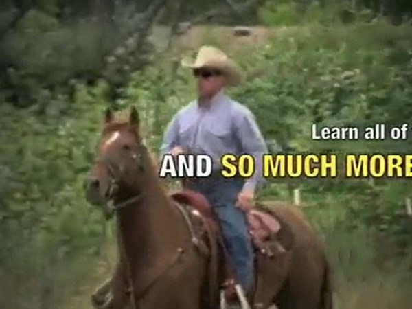 Breaking A Horse - Training Wild Horses