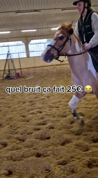 Quel bruit ça fait 25€ 😂 - Découvrez le son des équipements équestres!