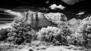 Infrared Photography Tips from Photofocus #celebratephotography