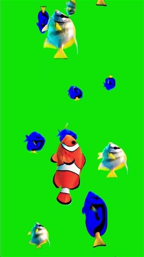 fish swimming effect green screen background|swimming fish animation green screen|fish