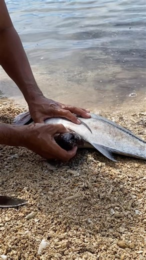 208K views · 1K reactions | swallowed eel!! #annabebercerosandigan | Annabe Bercero Sandigan | Facebook