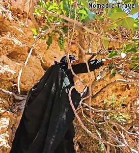 Grandmother's Wild Mountain Journey for Survival - Nomadic Life in Iran | Nomadic Travel