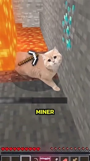 Ultimate Minecraft Cat Life From Chef to Diamond Warrior! #cat #minecraftcat #cats