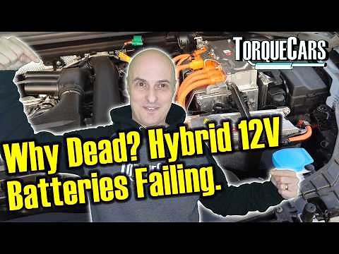 Hybrid 12v Battery Care - The Truth About The Hybrid 12V Battery Problem: What You Need to Know