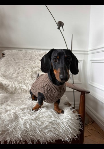 Teckel Try On Haul: Discover the Latest Styles