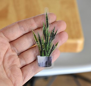 Clear Green Plant Sticker, Plant Lover Sticker for Water Bottle, Home Plant in Pot Waterproof Sticker for Laptop and Phone - Etsy